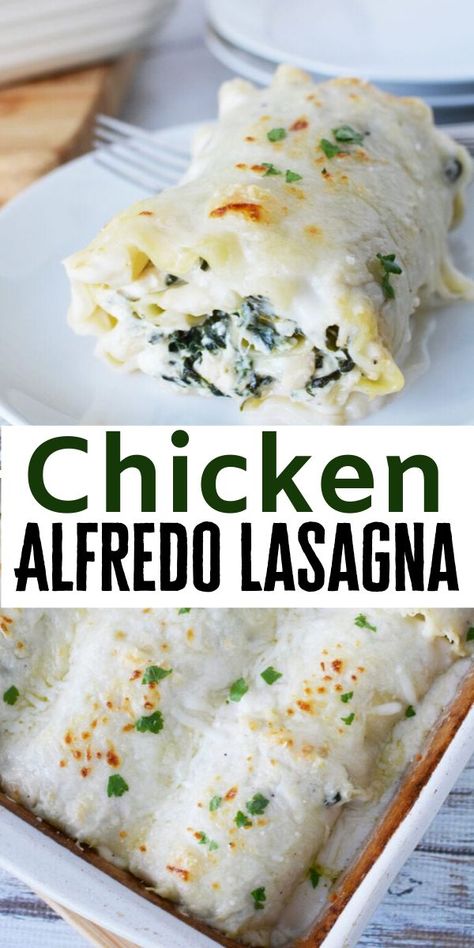 The Best Chicken Alfredo, Alfredo Lasagna Recipe, Chicken Alfredo Lasagna Roll Ups, Best Chicken Alfredo, Alfredo Lasagna Roll Ups, Dinner Lasagna, Chicken Alfredo Lasagna Recipe, Lasagna Roll Ups Recipe, Lasagne Roll Ups