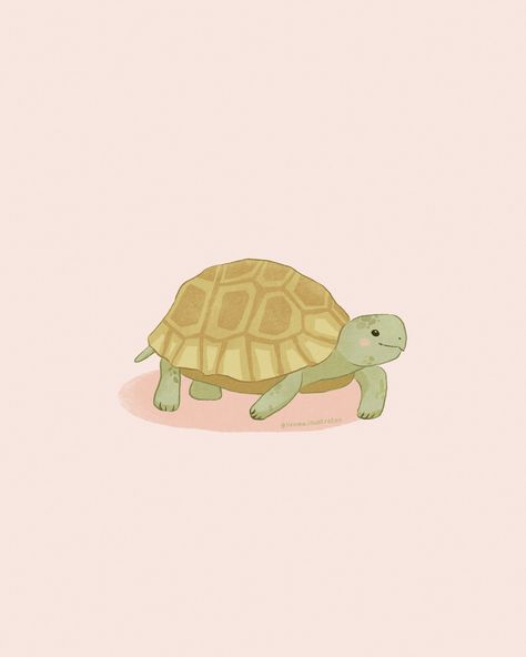 Digital illustration of a tortoise Cute Tortoise Drawing, Cute Pet Drawings, Tortoise Painting, Tortoise Illustration, Tortoise Drawing, Pet Drawings, Turtle Illustration, Cute Tortoise, Beginner Artist