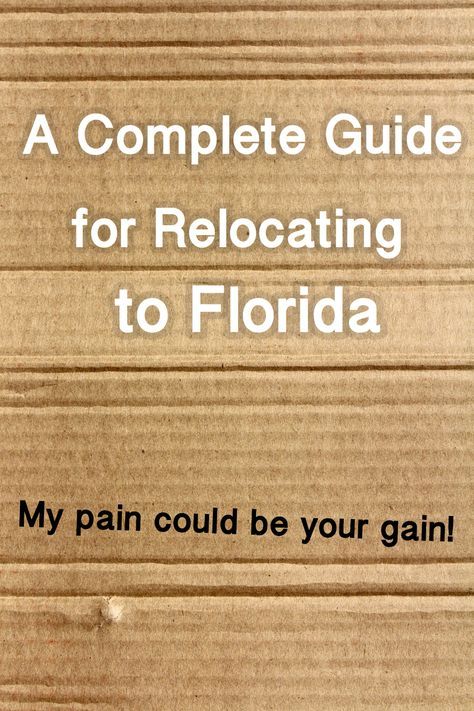 How to Move to Florida | Tips for Relocating Moving To Florida Tips For, Moving To Florida Aesthetic, Preparing To Move, Move To Florida, Moving Ideas, Living In Florida, Moving To Another State, Florida Adventures, Venice Florida