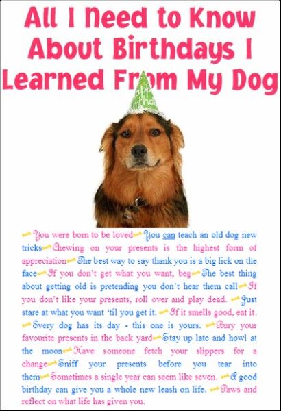 Dog Birthday Wishes, I Love My Dog, Love My Dog, Funny Animal Quotes, Birthday Wishes Quotes, Wishes Quotes, Old Dogs, I Need To Know, Speak The Truth