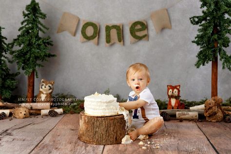 Winter Woodland Birthday, Boy Cake Smash, Cake Boy, Baby Boy 1st Birthday Party, Smash Cake Boy, Baby's 1st Birthday, Boy Cake, Wild One Birthday Party, One Happy Camper