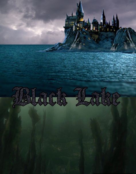 Harry Potter Black Lake, Black Lake Harry Potter, Shifting Realities, Potter Art, Goblet Of Fire, Marauders Era, Harry Potter Series, Mischief Managed, Harry Potter Art