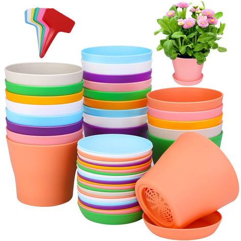 ADXCO 24 Pack 4 Inch Plastic Plant Pot with Saucers Flower Pots Planters Nursery Pots and 24 Labels for Outdoor Indoor Plants Gardening Containers, Assorted 8 Colors Gardening Containers, Flower Seedlings, Parlor Palm, Small Flower Pots, Plastic Plant Pots, Rubber Plant, Plastic Flower Pots, Plant Tags, Plastic Planters