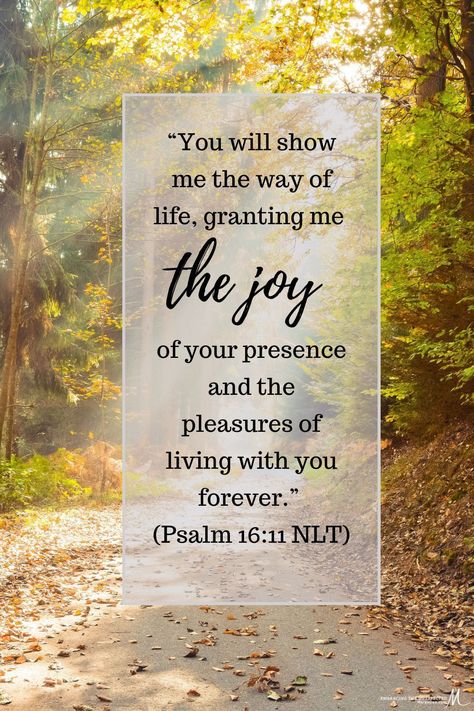 David is the one speaking in this verse, and his heart is glad because he has found true joy in the presence of the Lord. #thankful #joyful #joy #mareedee Joy In The House Of The Lord, Joy In The Lord Scriptures, The Joy Of The Lord Quotes, Joyful Quotes Happiness, The Joy Of The Lord Is My Strength, Joy Quotes Bible, Scriptures On Joy, Quotes About Joy, Bible Verses About Joy