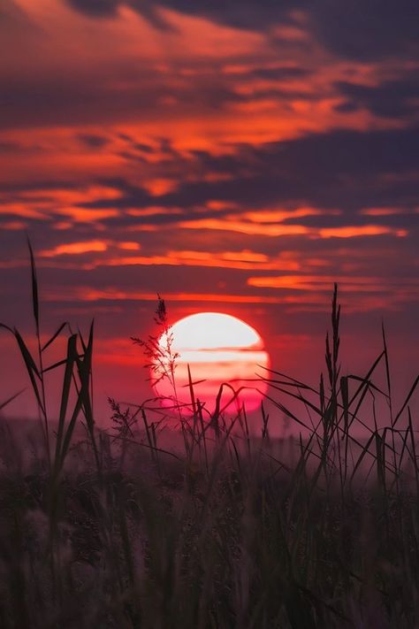 Sun Behind Clouds Painting, Amazing Sunsets Photography, Sunset Reference, Sun Set Sky, Moana Background, Dusk Aesthetic, Sunset Sunrise Aesthetic, Sunset Sky Photography, Sunrise Photography Nature