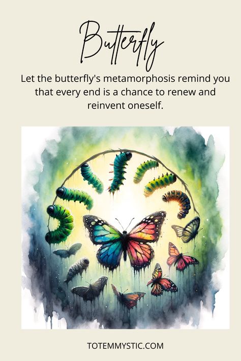 Butterflies signify transformation, hope, and renewal. If you're undergoing change, the butterfly spirit can guide and inspire you. #spirit animal #spiritual meaning #totem #power animal Butterfly Spirit Animal, Butterfly Symbolism, Butterfly Metamorphosis, Totem Animals, Animal Butterfly, Irish Folklore, Spiritual Animal, Animal Spirit Guides, Animal Guides