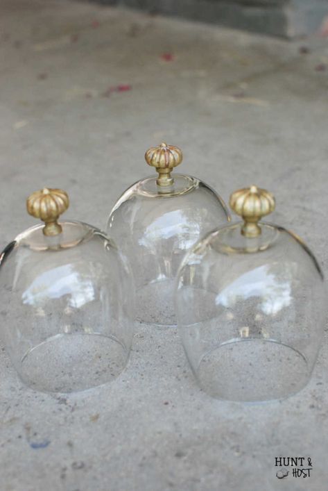 Homemade Mini Cloche - Salvaged Living Glass Cloche Decor, Mini Cloche, Cloche Decor, Glass Cloche, Dollar Tree Diy Crafts, Upcycled Home Decor, Glass Vases, Tree Crafts, Dollar Tree Crafts