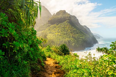 Kalalau Trail, Kauai Island, Napali Coast, Poipu Beach, Ocean Sounds, Pretty Landscapes, Business Headshots, Hawaii Island, Beautiful Places Nature