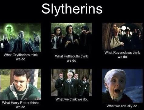 Harry Potter Humor, Film Harry Potter, Slytherin Harry, Funny Harry Potter Jokes, Slytherin Pride, Harry Potter Puns, Funny Harry Potter, Harry Potter Feels, Slytherin Harry Potter