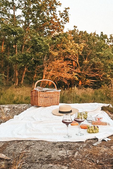 Romantic picnic in the swedish forrest Cottagecore Picnic, Romantic Picnic, Romantic Picnics, Picnic Date, Picnic Time, Archipelago, Picnic Basket, Outdoor Dining, Palm Trees