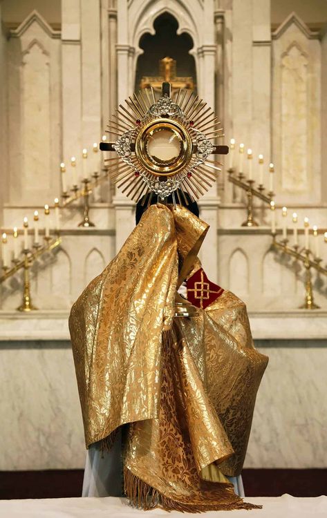 Contact Holy Hour, Catholic Wallpaper, Eucharistic Adoration, Come Let Us Adore Him, Catholic Pictures, Catholic Images, Jesus Christus, Eucharist, Lord Jesus Christ