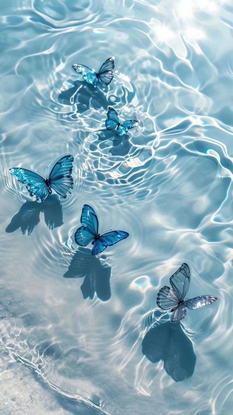 Butterflies, Wallpapers, Water, Blue