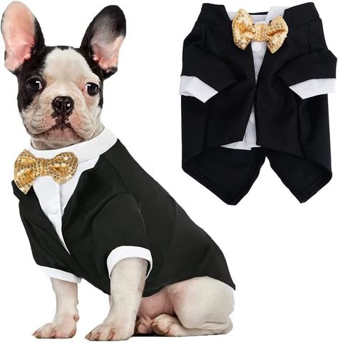 Who's ready for new year ? Dog Tuxedo Wedding, Dog Wedding Bandana, Formal Dog, Dog Tuxedo, Formal Tuxedo, Dog Suit, Pet Halloween Costumes, Formal Suit, Wedding Pets