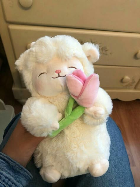 Angel Figure, Cute Squishies, Cute Sheep, Angel Doll, Dream Gift, Cute Bedroom Decor, Sonny Angel, Cute Stuffed Animals, Cute Toys