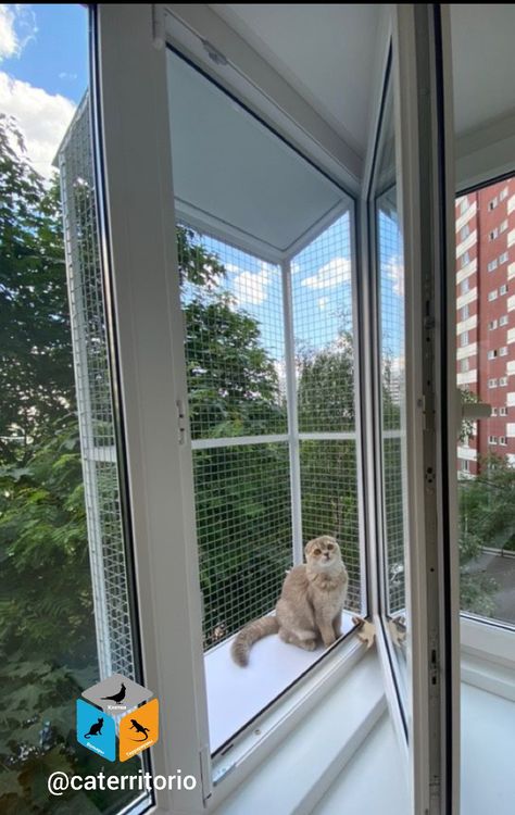 Diy Cat Window Box Ideas, Catio Ideas Cat Window, Cat Window Perch Outdoor, Cat Ramp, Diy Cat Enclosure, Katt Grejer, Cat Fence, Cat Window Perch, Cat Patio