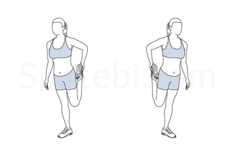 Quad stretch exercise guide with instructions, demonstration, calories burned and muscles worked. Learn proper form, discover all health benefits and choose a workout. https://www.spotebi.com/exercise-guide/quad-stretch/ Thyroid Exercise, Stretch Exercise, Post Workout Stretches, Muscle Stretches, Quad Stretch, Back Fat Workout, Calories Burned, Basic Workout, Workout Posters