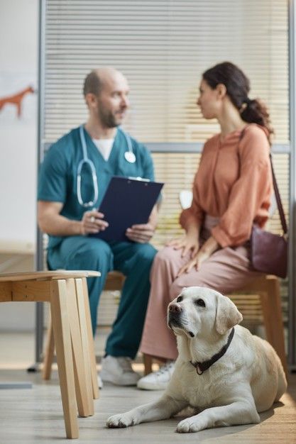 Veterinarian Photo Shoot, Vet Photography, Clinic Photoshoot, Dog Clinic, Photography Motivation, White Labrador, Dog Waiting, Vet Clinic, Veterinary Services