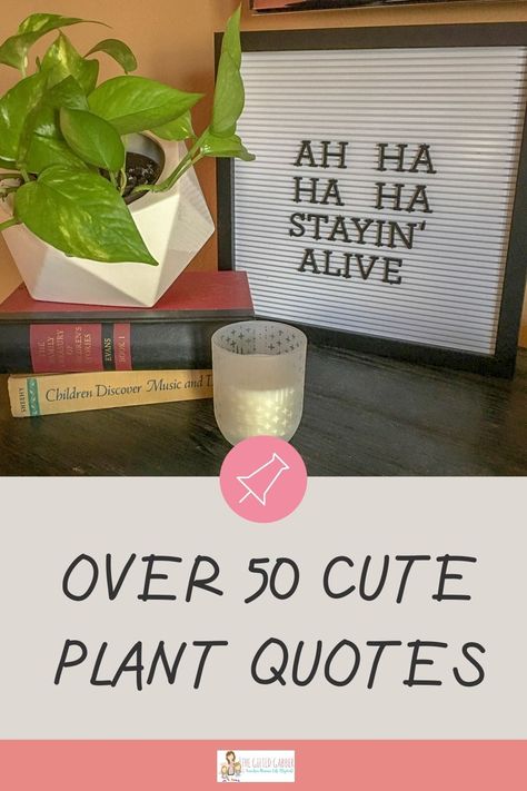 Quotes On Signs, Plant Signs Diy, Funny Plant Quotes, Succulent Quotes, Plant Quotes, Plant Puns, Plant Signs, Plants Quotes, Garden Basket