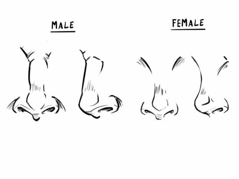 How to Draw a Face . Drawing the Male and Female Head . Front and 3/4 Noses Front View Drawing, Women Nose Drawing, How To Draw Noses Front View, Female Face Reference Front View, Nose Drawing Male, Front Facing Nose Drawing, Anime Noses Front View, Front Nose Drawing, Male Nose Drawing Reference