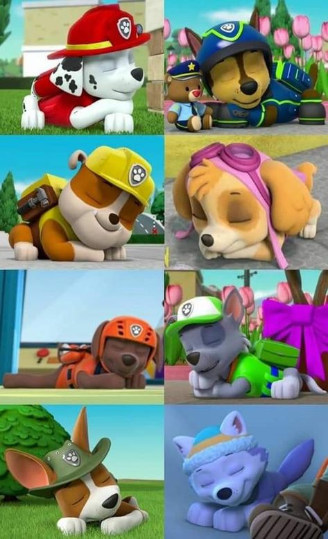 Dog Paw Drawing, Toy Car Garage, Paw Patrol Decorations, Zuma Paw Patrol, Paw Patrol Cartoon, Psi Patrol, Rubble Paw Patrol, Sky E, My Little Pony Birthday Party