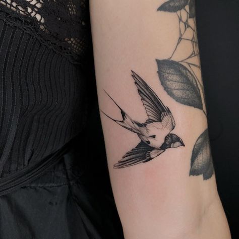 Large Swallow Tattoo, Fine Line Swallow Tattoo, Shrike Tattoo, Sparrow Tattoo, Swallow Tattoo, Fantasy Tattoos, E Tattoo, Dark Tattoo, Best Tattoo Designs