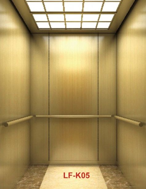 Elevator Home, Study Anatomy, Otis Elevator, Home Lift, Drawing Study, Glass Lift, Background Drawing, The Passenger, House Elevation