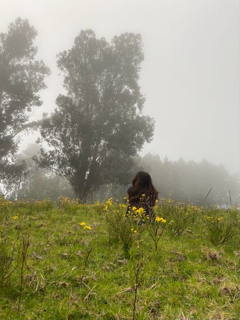 Cloudy Field Aesthetic, Running In A Flower Field Aesthetic, Floozy Aesthetic, Force Field Aesthetic, Foggy Flower Field, Running Through Field Aesthetic, Cold Spring Aesthetic, Izzie Core, Rainy Field