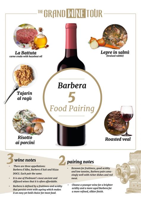 Barbera Wine, Wine And Food Pairings, Wine Paring, Wine Variety, Grape Varieties, Food Pairing, Wine And Food, Different Wines, Wine Tasting Party