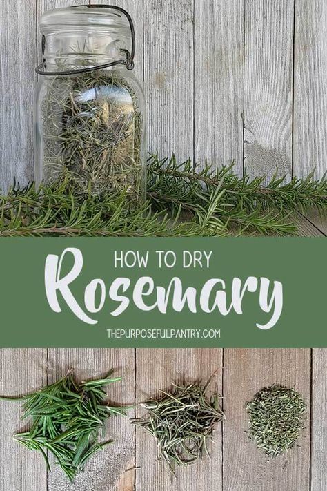 How To Dehydrate Flowers, Dehydrate Rosemary, Dry Rosemary, Dehydrating Food Storage, Drying Fresh Herbs, Food Dehydration, Dried Rosemary, Preserving Herbs, Dehydrated Vegetables