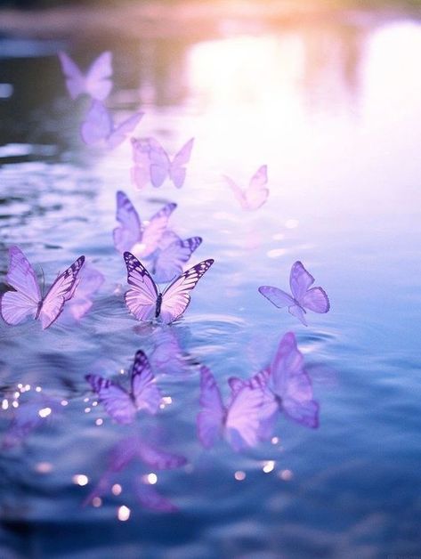 ♔ Art de Papillons Fantastiques Art Papillon, Beautiful Butterfly Pictures, Blue Butterfly Wallpaper, Iphone Wallpaper Landscape, Cute Summer Wallpapers, Butterfly Background, Beautiful Butterflies Art, Pretty Phone Wallpaper, Simple Phone Wallpapers