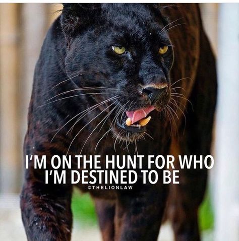 Panther Quotes, Animal Spirit Guide, Lion Quotes, Body Workout At Home, Inner Child Healing, Thought Provoking Quotes, Warrior Quotes, Powerful Words, Inspirational Quotes Motivation