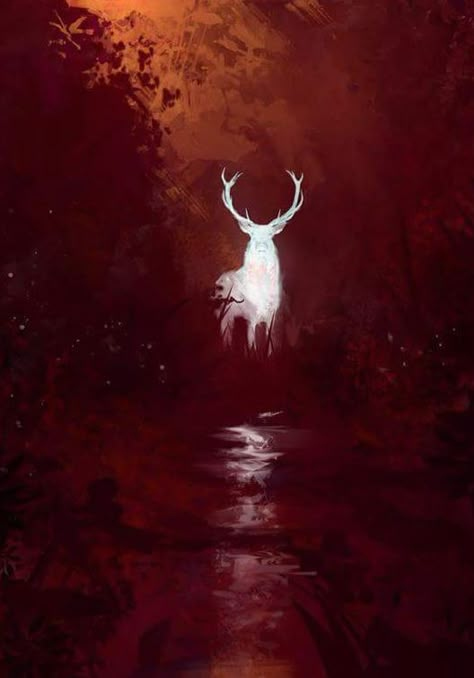 Deer totem animal Aaron Griffin, Photo Halloween, White Deer, Throne Of Glass Series, Deer Art, Wow Art, Concept Art Drawing, Art Et Illustration, Shangri La