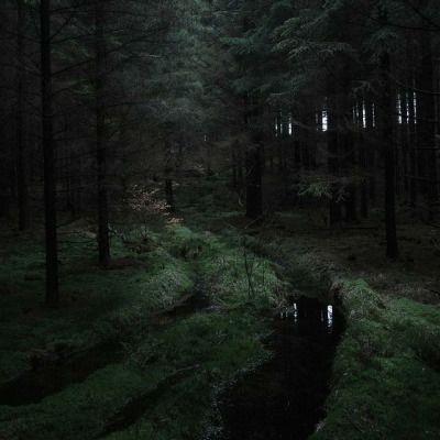 New Adventure Quotes, Dark Naturalism, Dark Forest Aesthetic, Dark Fairycore, Forest Core, Dark Green Aesthetic, My Fantasy World, Mystical Forest, Dark Nature Aesthetic