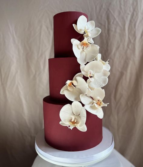 I just love simple designs accompanied with a bold color. Orchids are for sure one of my go tos when I think of creating simple elegant designs. What is your take on simple designs do you like a pop of color or the more minimal the better ? Chime in the comments I would love to know 👀 #newmexicobakery#newmexicowedding #nmwedding #nm #nmtrue #newmexicoweddings #weddingcake#orchid #burgundy #sugarflowers #roswellnm #artesianm #carlsbadnm #alburqurque#santafenm #ruidoso #luxurycakes #simple... Burgundy Birthday Cake, Orchid Cake, Modern Birthday Cakes, Red Orchids, Red Cake, Modern Birthday, Love Simple, Cake Flowers, Heart Cake