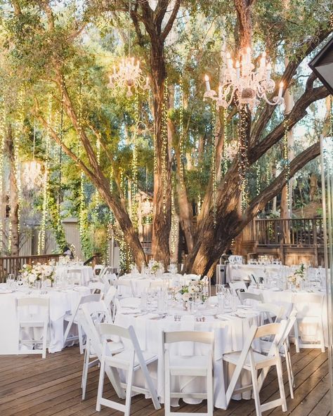 The magic that Calamigos Ranch brings to its space is like no other place I have seen. They know how to cover every inch of their space in magic! Here is the dreamy backdrop in the birchwood room's reception space that brings the intimate dining area to life. It's just dances with elegance and sparkle. Calamigos Ranch truly does rustic luxury in the best way. Dreamy Backdrop, Calamigos Ranch Wedding, Rustic Luxury, Calamigos Ranch, Bright Wedding, Wedding Mood, Ranch Wedding, Just Dance, Dining Area