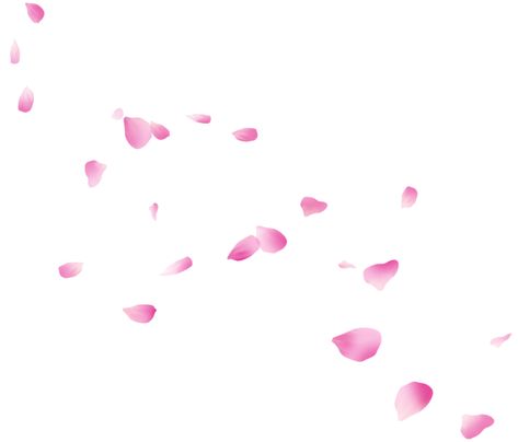 Falling Flower Petals, Falling Quotes, Flower Falling, Rose Petals Falling, Png Video, Petals Falling, Falling Petals, Leaf Png, Rose Leaf