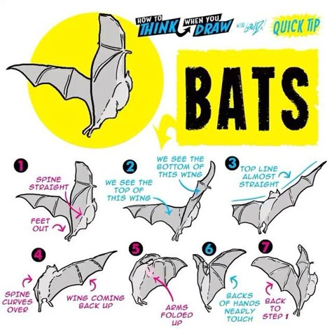 Wing Anatomy, Etherington Brothers, Paw Drawing, Brothers Art, Art Advice, Animation Tutorial, Sketches Tutorial, Bat Wing, Animation Reference