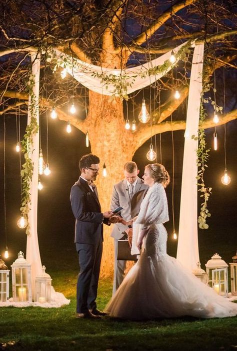 tree wedding backdrop with hanging edison light bulbs, fabric curtain and greens Edison Bulb Wedding, Diy Wedding Arch, Night Time Wedding, Rustic Wedding Decorations, Wedding Ceremony Ideas, Diy Wedding Backdrop, Surprise Wedding, Tree Wedding, Wedding Event Planning