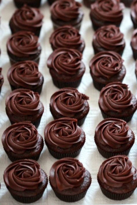 The Best-Best Double Chocolate Cupcakes | Sweetopia Ganache Recipes, Double Chocolate Cupcakes, Chocolate Icing Recipes, Comfort Recipes, Amazing Chocolate Cake Recipe, Chocolate Frosting Recipes, Chocolate Torte, Ganache Recipe, Cupcake Recipes Chocolate