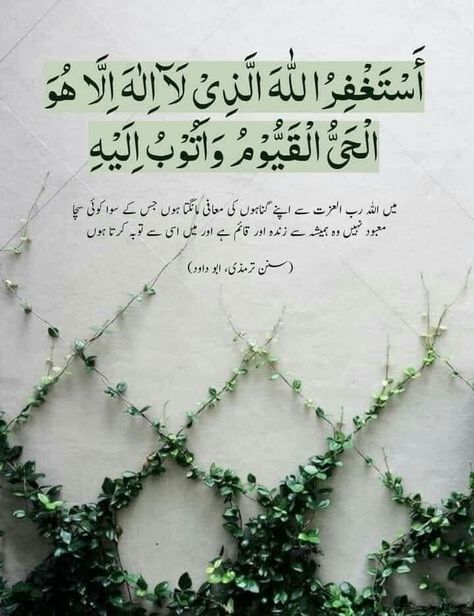 Eid Ul Fitr Decorations, Prophet Ibrahim, Islamic Dp Quotes, 2 Line Urdu Poetry, Beautiful Dua, Islamic Post, The Sacrifice, Allah Photo, Learn Quran