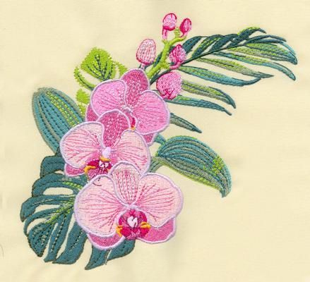 Set with embroidery designs of Orchids Orchid Embroidery, Embroidery Stitches Beginner, Embroidery Design Sets, Flower Embroidery Designs, Hand Embroidery Patterns, Orchid Flower, Rainbow Flowers, Hand Embroidery Designs, Embroidery Flowers