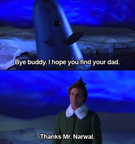 When Mr. Narwal was an encouraging friend. | 26 Hilarious "Elf" Quotes That'll Make You Laugh Every Time V Smile, Buddy The Elf, Look Here, Great Movies, The Elf, My Favorite Part, Christmas Movies, I Smile, Bones Funny