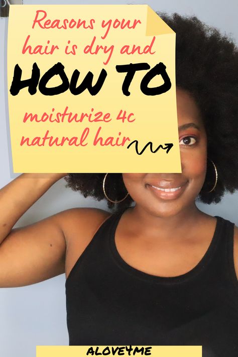 How To Treat Natural Black Hair, Dry Hair Remedies For Black Women, Dry Scalp Black Women, Extremely Dry Hair Remedies, Add Moisture To Dry Hair, How To Get Moisture Back In Hair, How To Hydrate 4c Hair, Dry 4c Hair Remedies, How To Treat Dry Hair