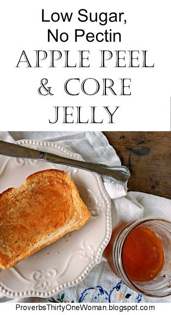 Proverbs 31 Woman: Low Sugar, No Pectin Apple Peel and Core Jelly Recipe Canning Apples, Apple Butter Recipe, Apple Core, Apple Jelly, Jelly Recipe, Apple Jam, Food Lab, Fruit Peel, Jam And Jelly