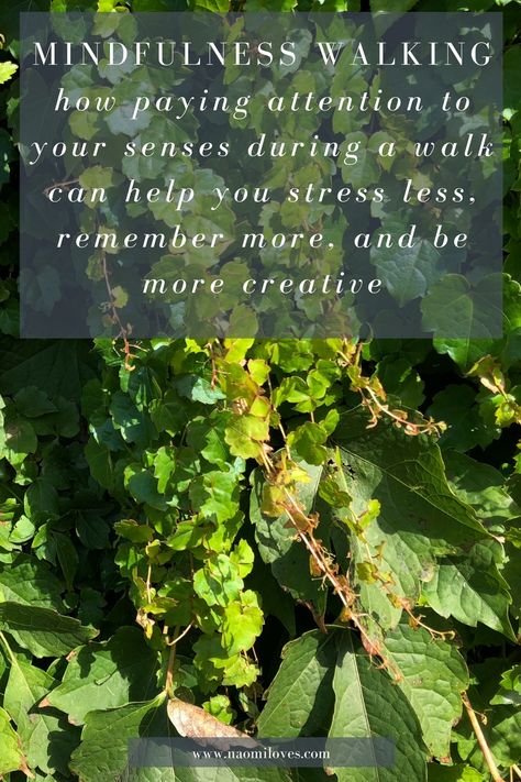 Mindfulness walking Living Seasonally, Mindful Walking, Wellness Rituals, Mother Culture, Walking Quotes, Nature Therapy, Forest School Activities, Intentional Life, Our Senses