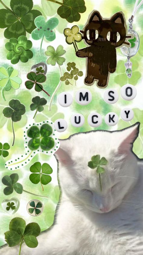 green clover lucky cat aesthetic collage wallpaper Lucky Cat Aesthetic, Aesthetic Collage Wallpaper, Clover Wallpaper, Lucky Wallpaper, Green Clover, Collage Wallpaper, Edgy Wallpaper, Clover Green, Wallpaper For Your Phone