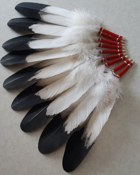 Bald Eagle Feather, Native American Indian Tribes, Petroglyphs Art, Native American Eagle, Feather Collection, Native American Feathers, Cherokee Dress, Navajo Art, Feather Drawing