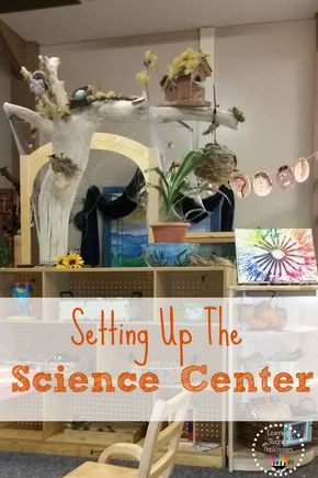 Setting up the preschool science center. Reggio Inspired Science Center, Toddler Science Center, Preschool Science Area, Science Area Preschool, Preschool Science Center, Fall Science Activities, Discovery Table, Science Center Preschool, Preschool Set Up