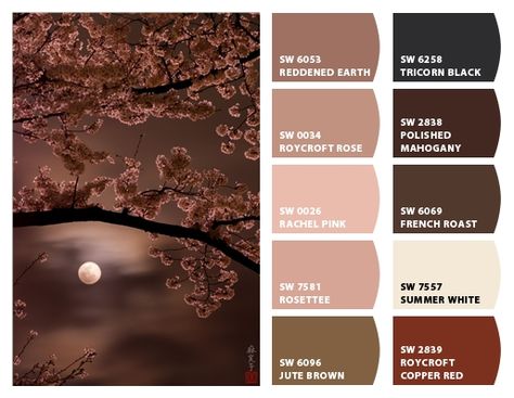 Sherwin Williams Rose Brocade, Sherwin Williams Roycroft Rose, Roycroft Rose Sherwin Williams, Wall Paint Combination, Rose Paint Color, Yoga Branding Design, Zyla Colors, Paint Combinations, Yoga Branding