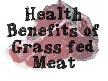 Health benefits of grass fed meat 365x274 Health Benefits of Grass Fed Beef Glutathione Benefits, Catch 22, Grass Fed Meat, Wellness Mama, Eat Beef, Fat Soluble Vitamins, Market Ideas, Local Farmers Market, How To Eat Paleo